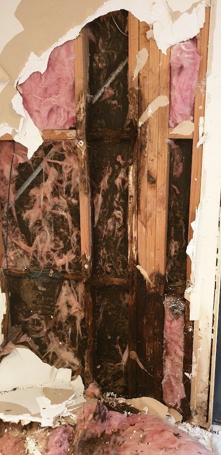 rotten framing