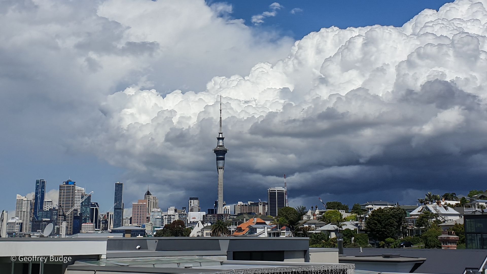 Auckland city