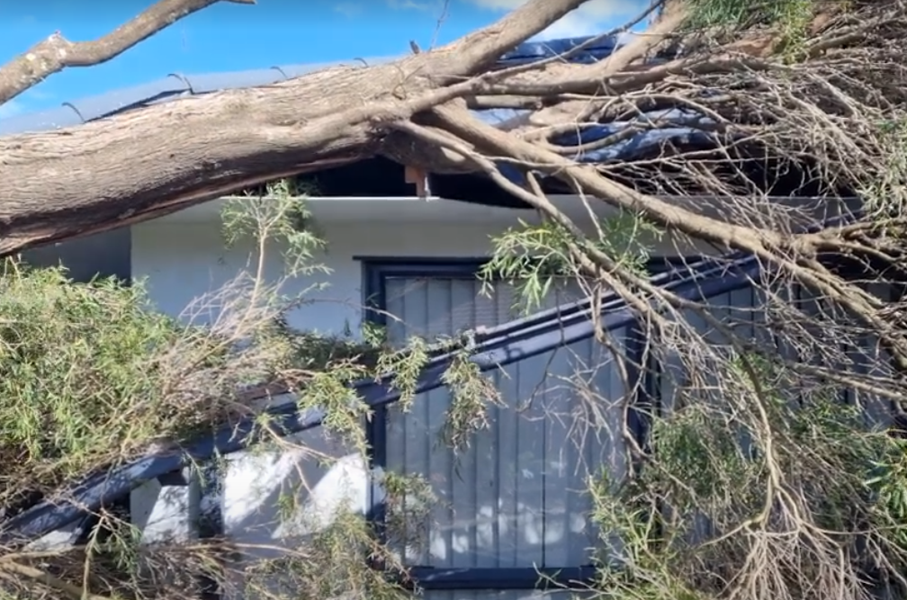 Auckland insurance repairs specialists