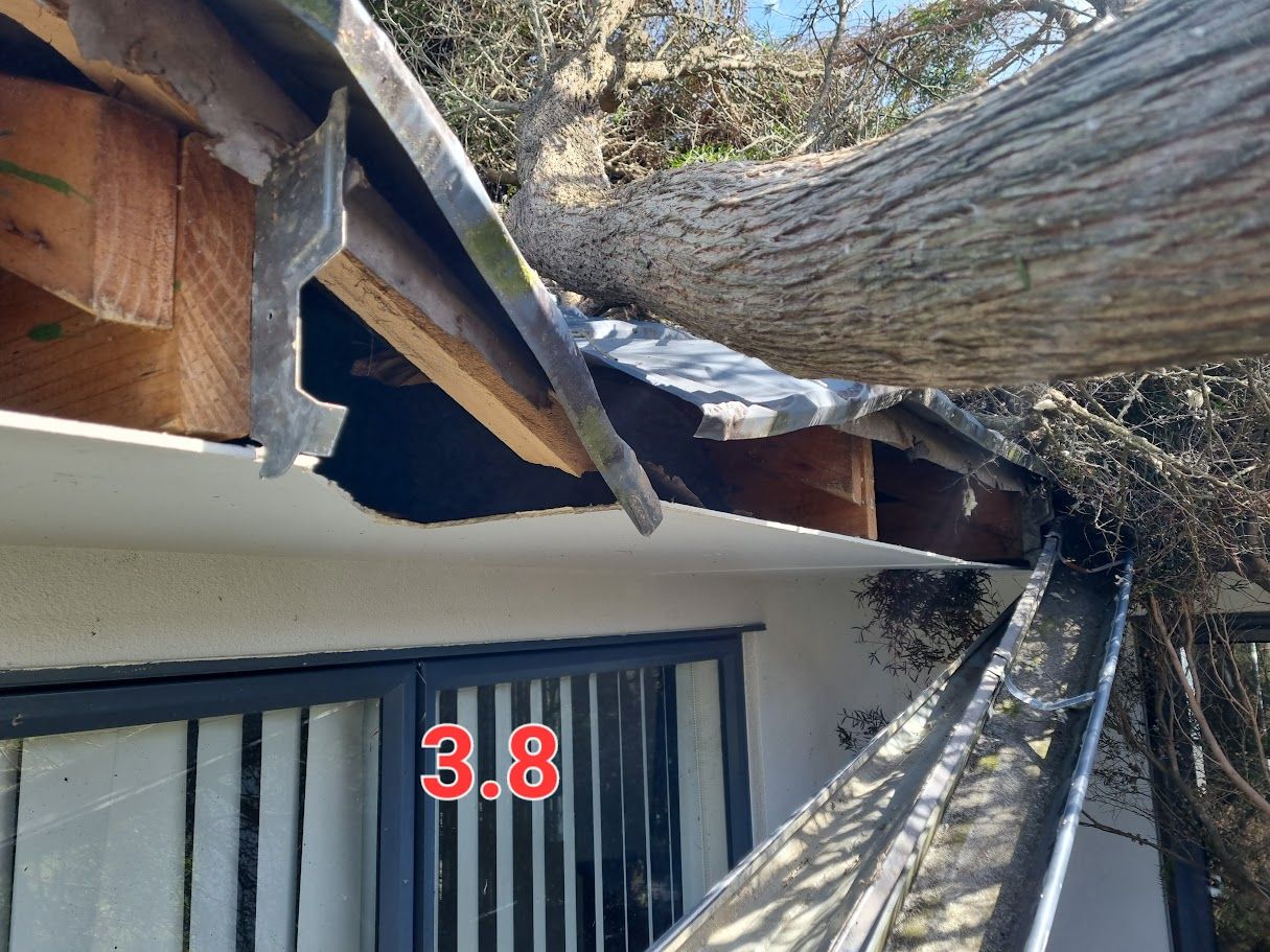 tree falling on house