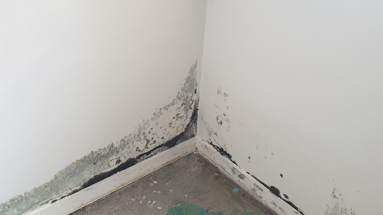 mould growth
