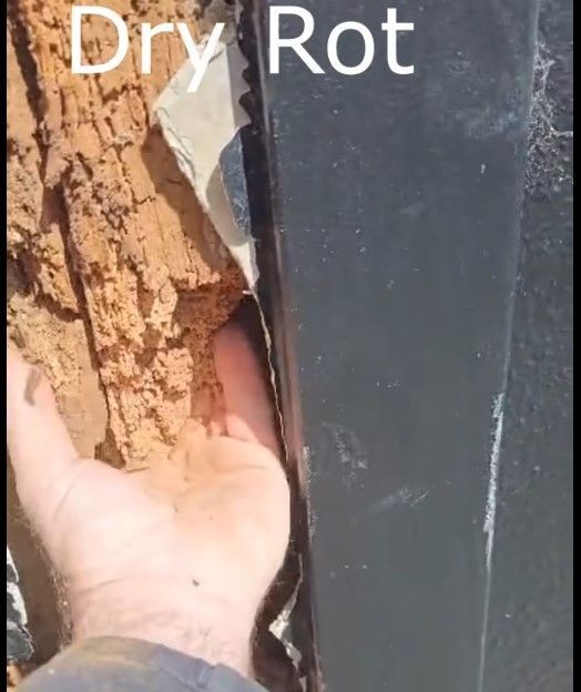 rotten wood