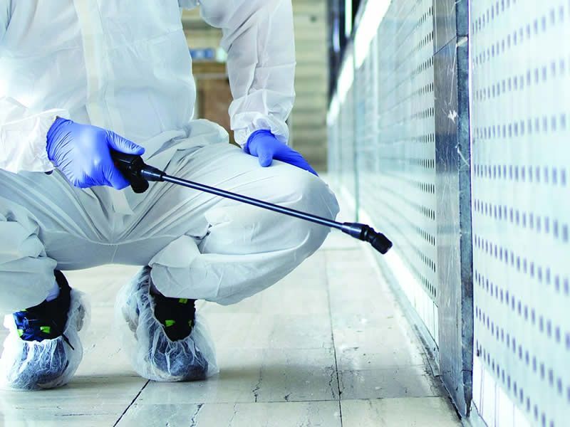 Una persona con indumenti protettivi bianchi e guanti blu utilizza una lancia a spruzzo per igienizzare una superficie lungo una parete.