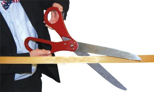 A man in a suit is cutting a ribbon with a pair of scissors