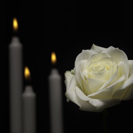 A white rose is sitting in front of three lit candles on a black background.