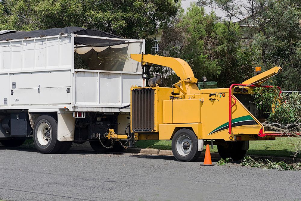 Yellow wood chipper next to a white truck on a paved street— D & C Tree Services Pty Ltd in Muswellbrook, NSW