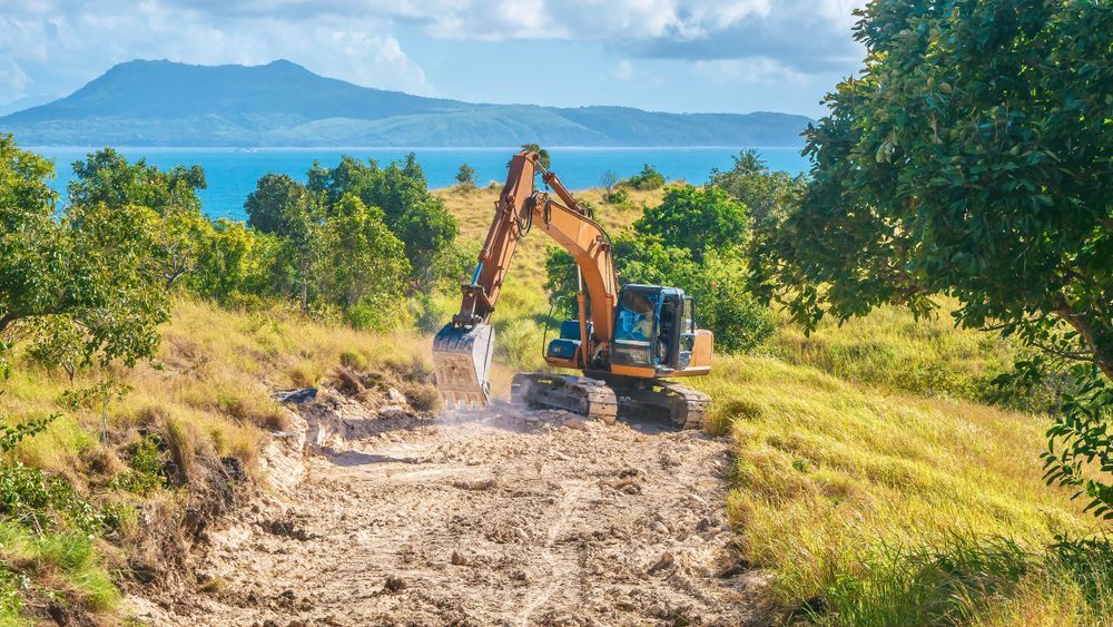 Excavator Digging a Trench in a Grassy area — D & C Tree Services Pty Ltd in Denman, NSW