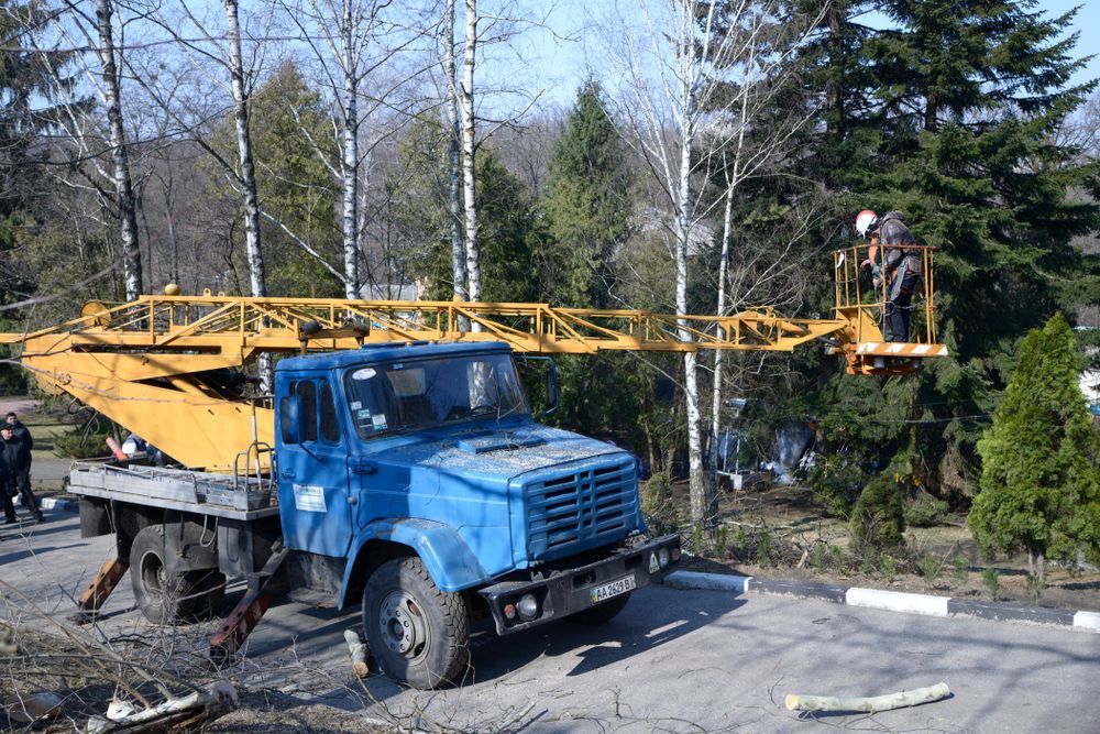 Blue Truck With an Extended Crane Arm, Workers Trimming a Tree — D & C Tree Services Pty Ltd in Singleton, NSW