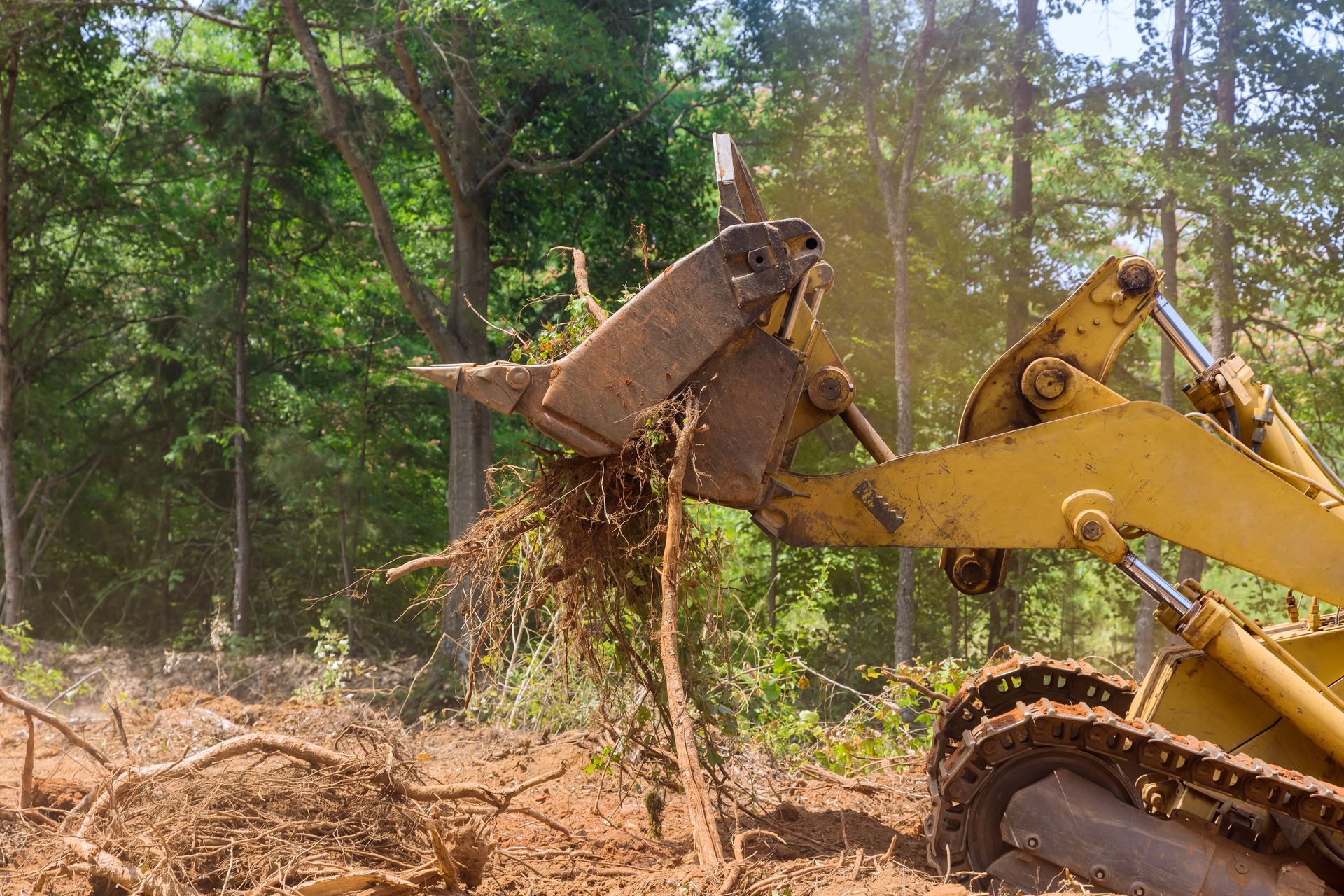 Yellow Bulldozer Uprooting Trees in a Forest, Brown Roots and Dirt Visible — D & C Tree Services Pty Ltd in Muswellbrook, NSW