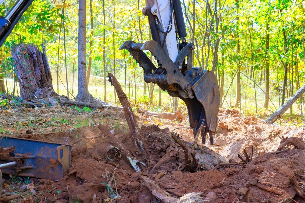 Excavator Removing Tree Roots in a Forest, Brown Soil, Bright Sunlight — D & C Tree Services Pty Ltd in Muswellbrook, NSW