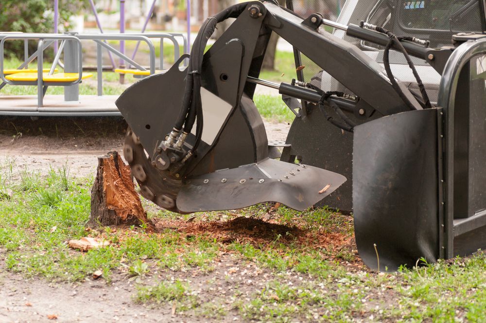 Stump Grinder Grinding Down a Tree Stump in a Grassy Area, Near a Playground — D & C Tree Services Pty Ltd in Scone, NSW