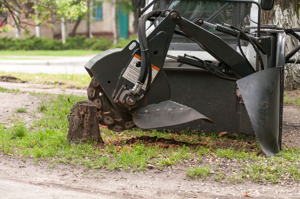 Stump Grinder Removing a Tree Stump on a Grassy Area, Outdoors — D & C Tree Services Pty Ltd in Merriwa, NSW