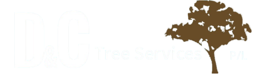 Arborist in Muswellbrook
