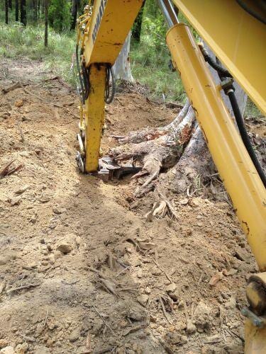 Excavator removing tree — Earthmoving Services in Tomerong, NSW