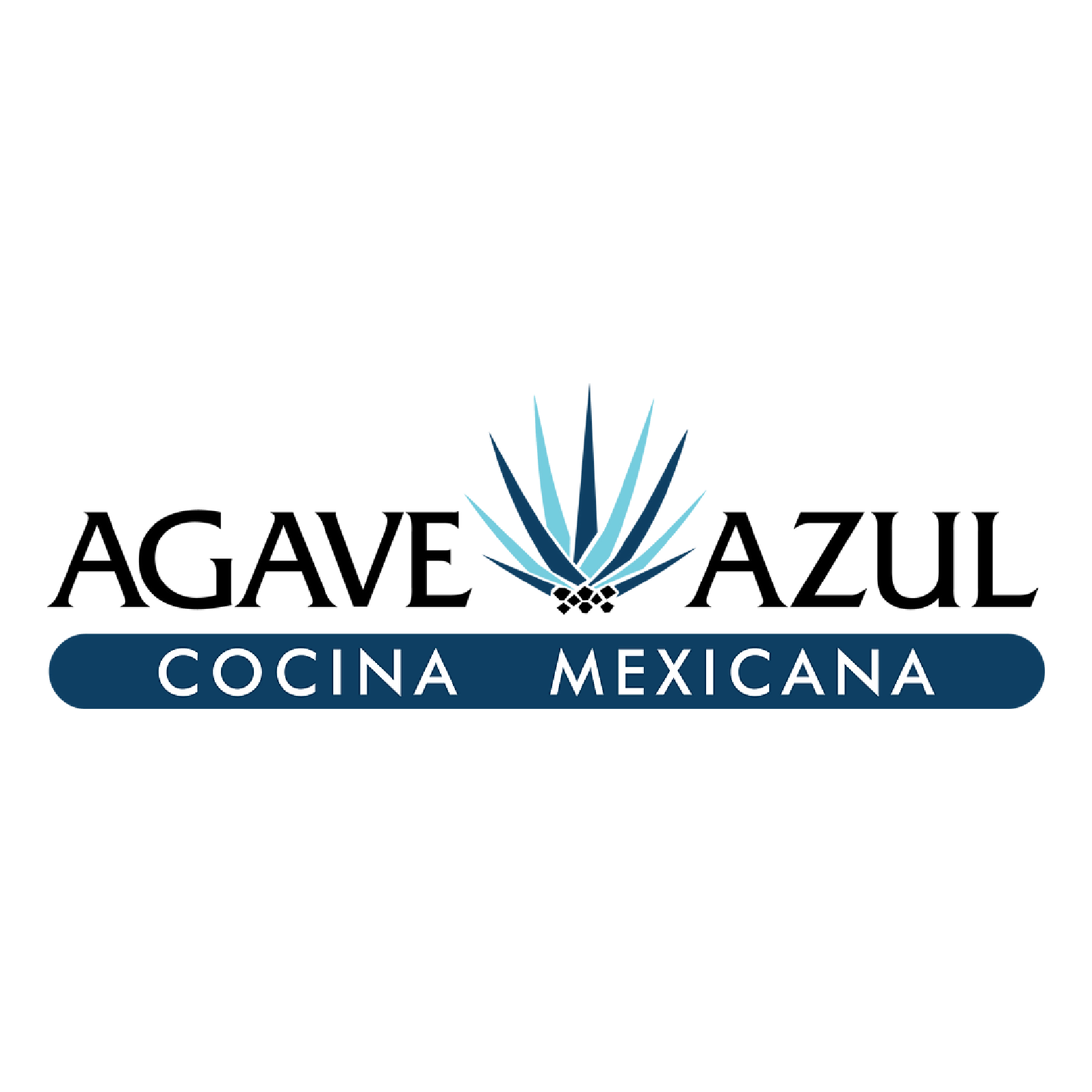 Agave Azul