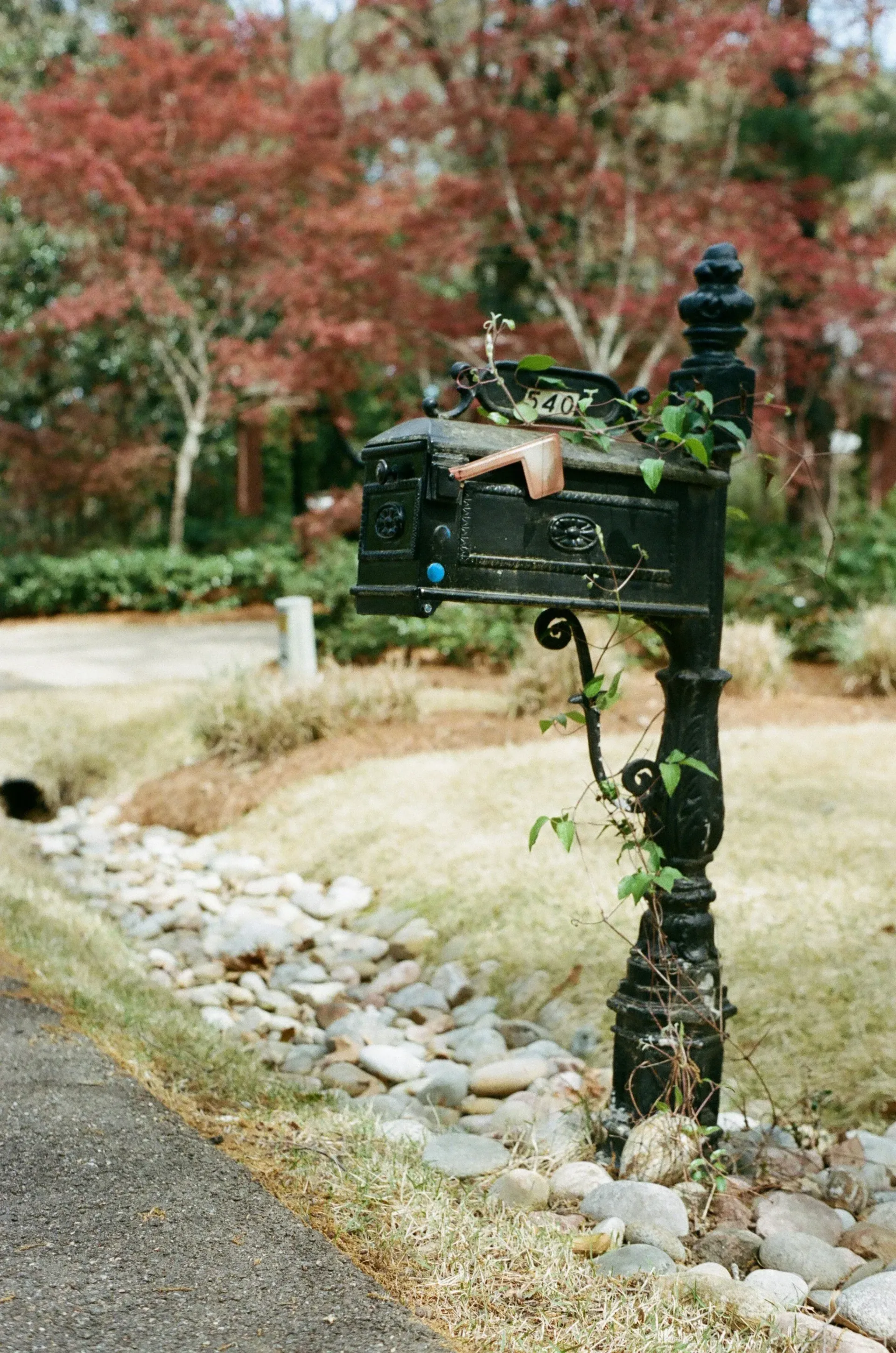 Black, ornate mailbox overgrown with vines, set along a rocky creek bed, autumn foliage in the background.
