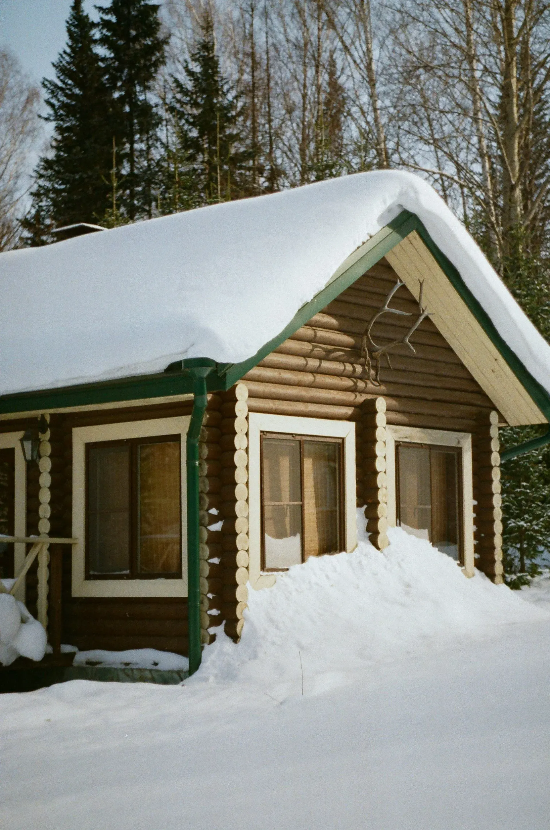 Cabin covered in snow with a forest backdrop. Snow piles up in front of the windows.