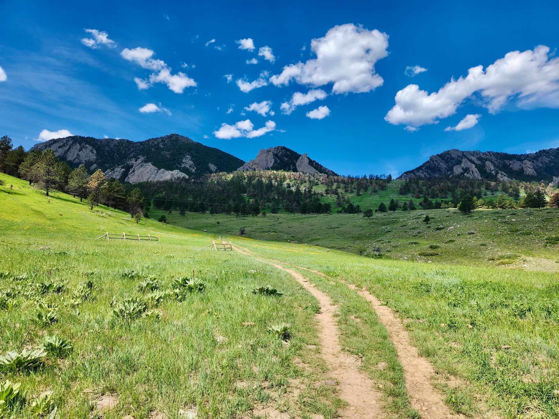 Rolling green field with a dirt path leading toward mountains under a bright blue sky with scattered clouds.