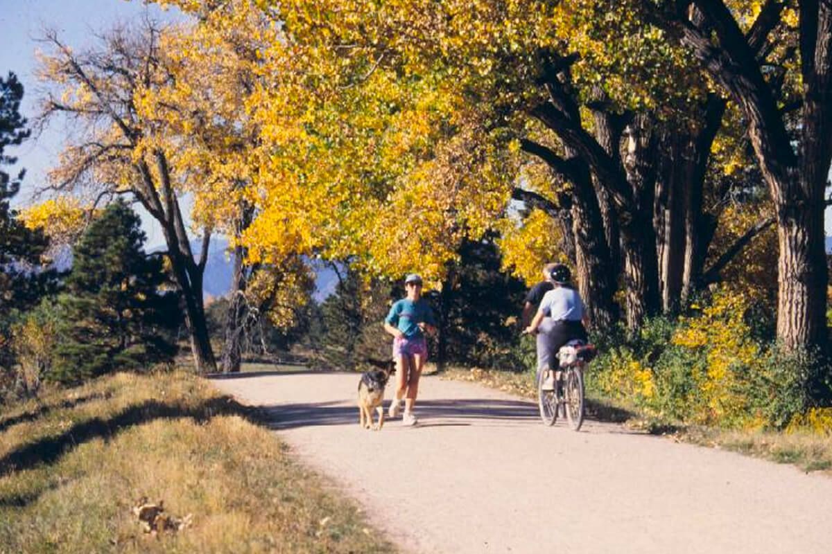 Person running with a dog and person riding a bike on a path with autumn trees.