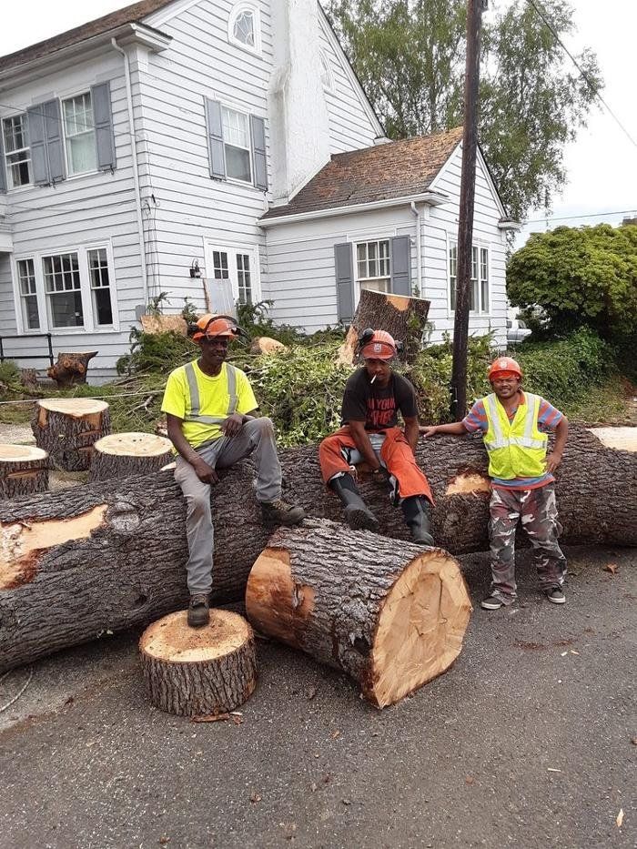 Three workers wearing safety gear sit on and around cut logs in front of a house.