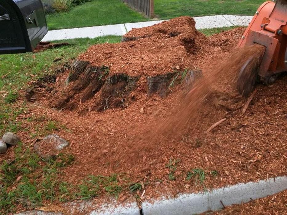 A stump grinder chipping a tree stump, spraying wood chips onto the grass next to a sidewalk.