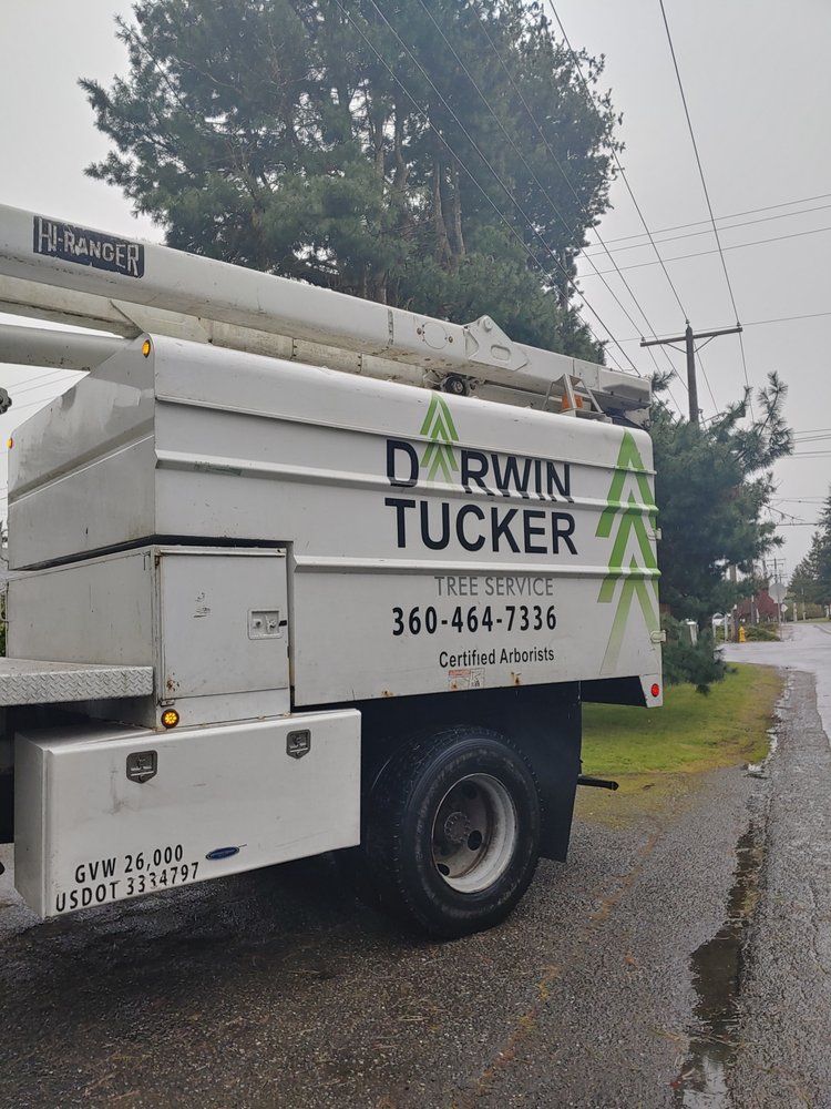 Darwin Tucker Tree Service truck, white with green logo, parked on a wet road.