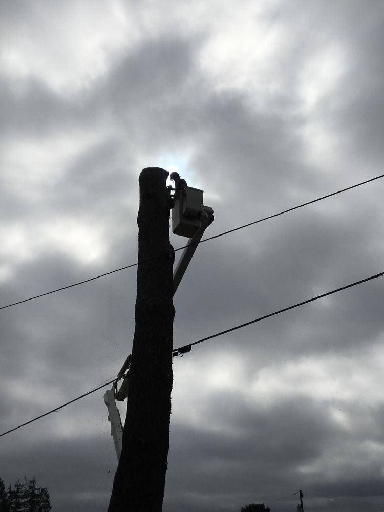 Utility pole with equipment attached against a cloudy sky.