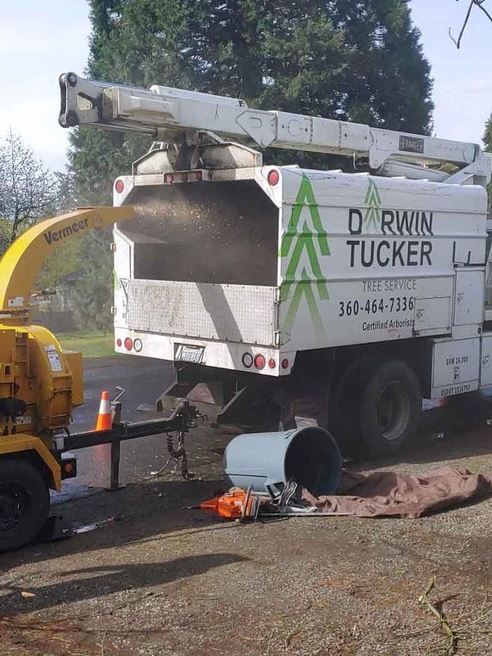 A tree chipper processing wood debris into a truck, next to a yellow wood chipper and parked on a driveway.