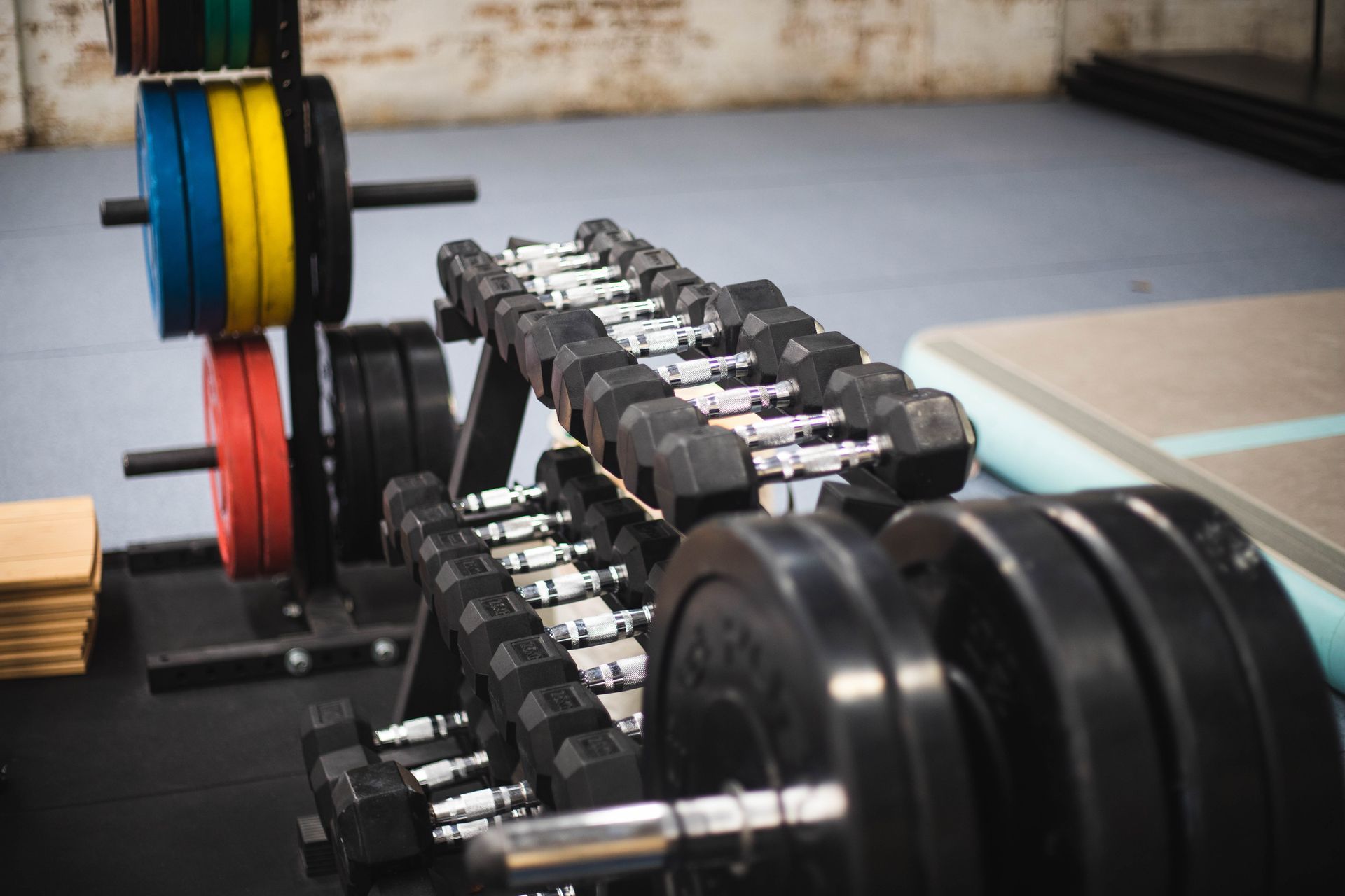 Dalecki Strength - Dumbbells Pair for Targeted Muscle Workouts