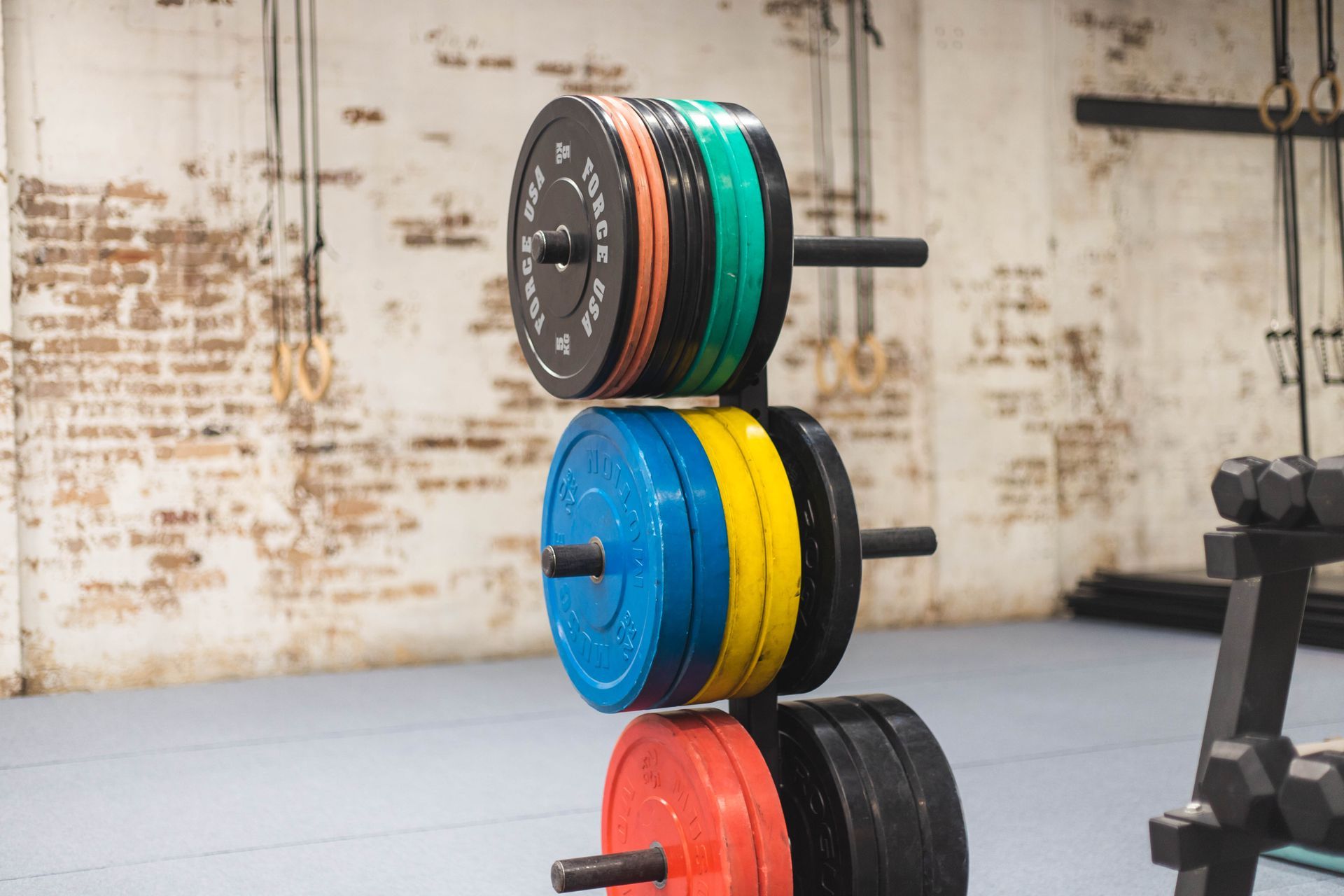 Dalecki Strength - Standard Weight Plates for Versatile Workouts