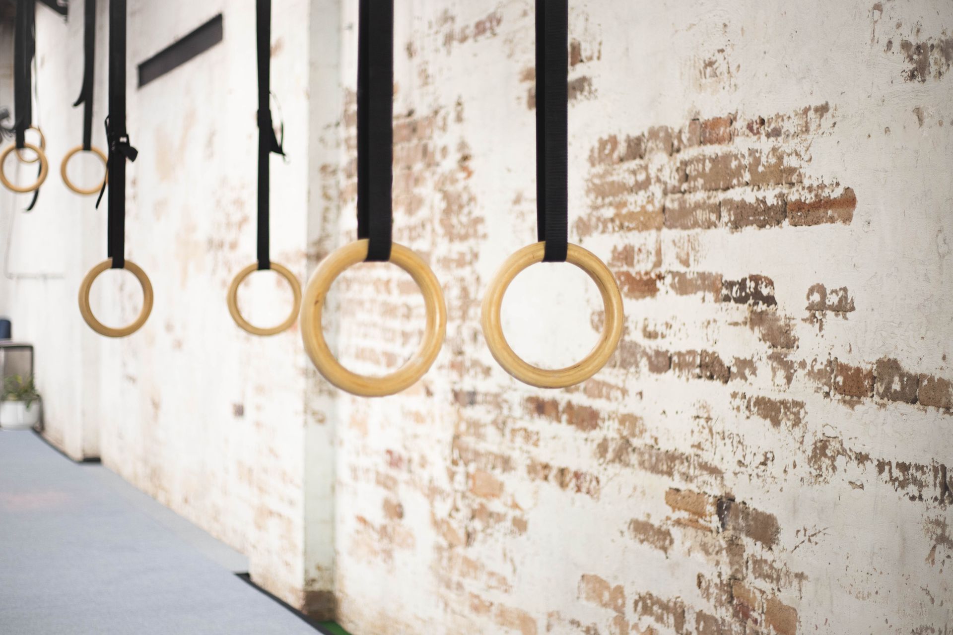 Dalecki Strength - Premium Wooden Gymnastic Rings for Olympic Athletes