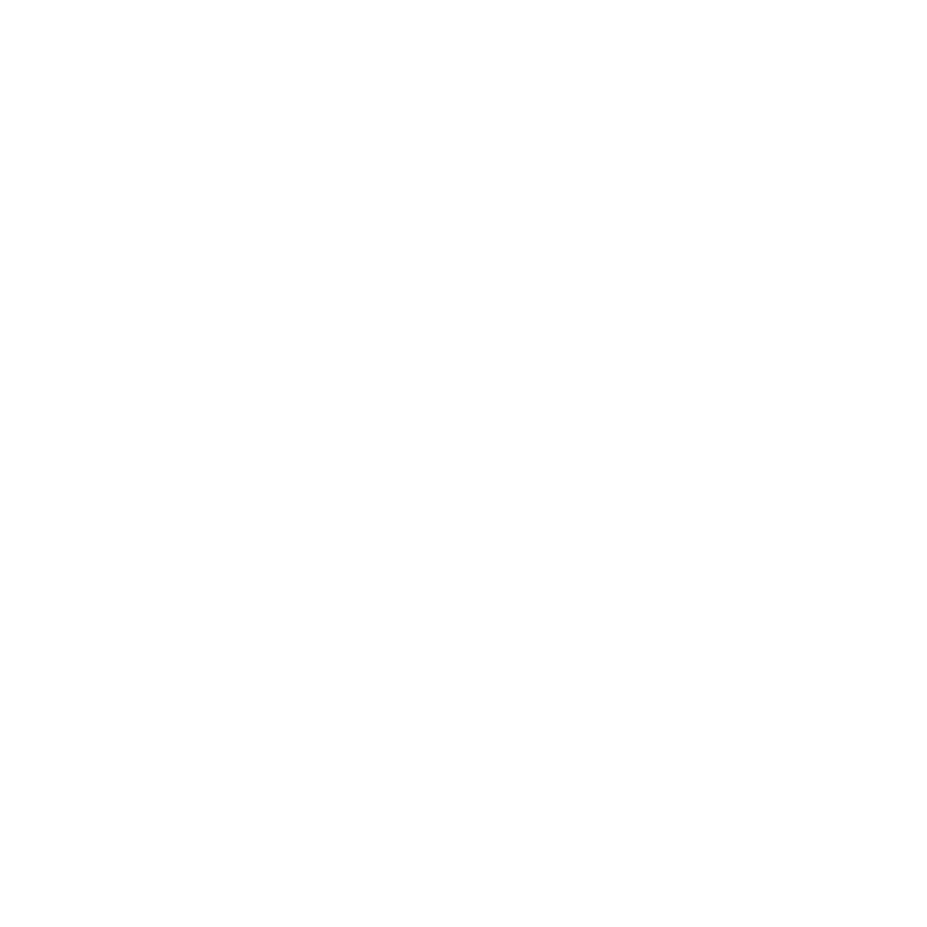 Logo blanc pour un studio de tatouage appelé PEAKPOINTTATTOO.
