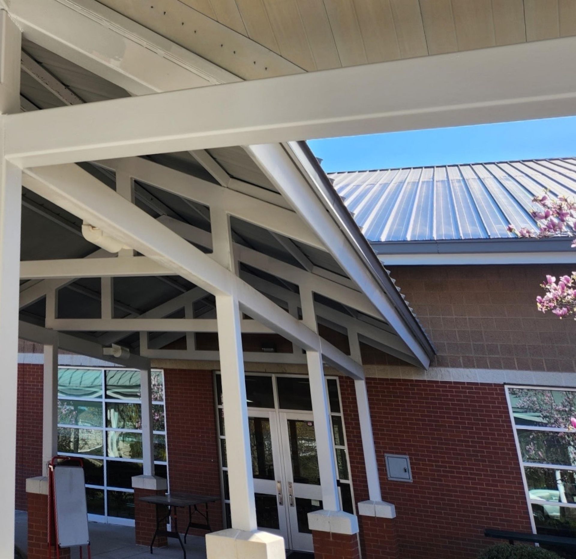 Pressure Washing Beans - Before