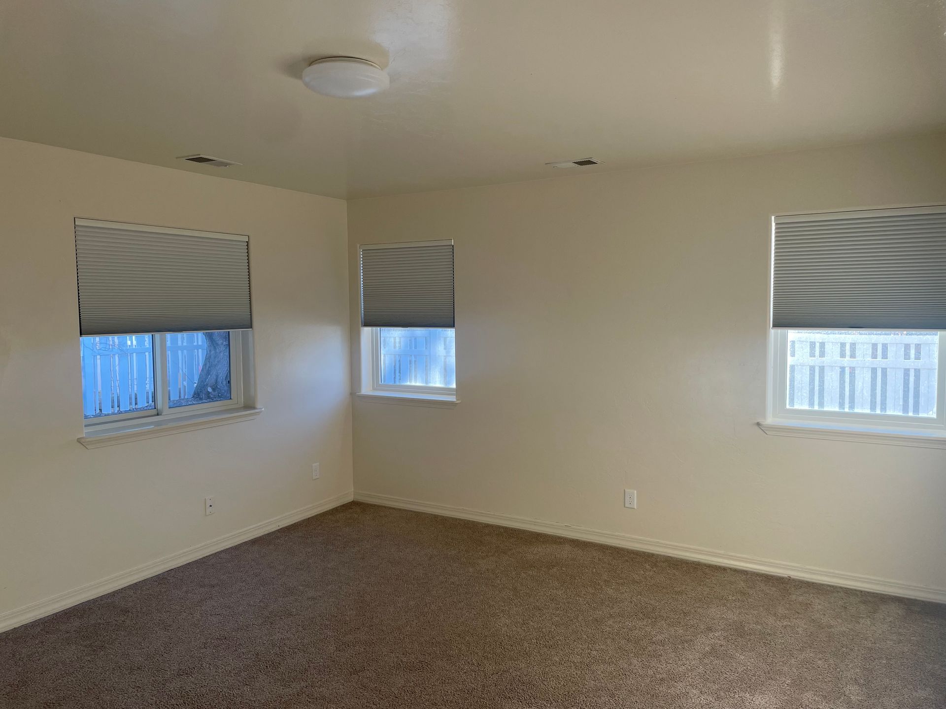 An empty bedroom with two windows and a carpeted floor.