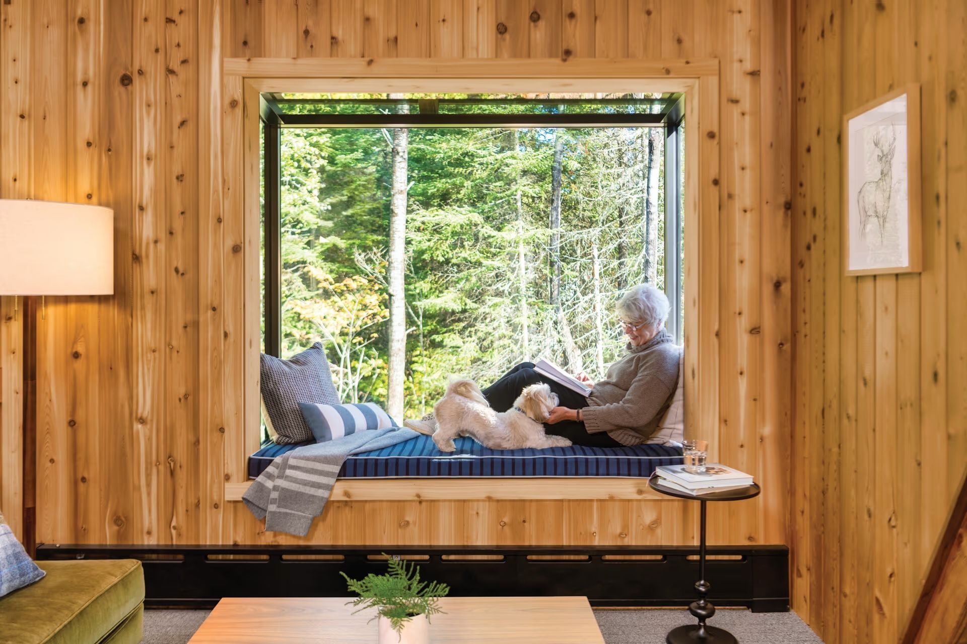 A woman is sitting in a window seat with a dog.