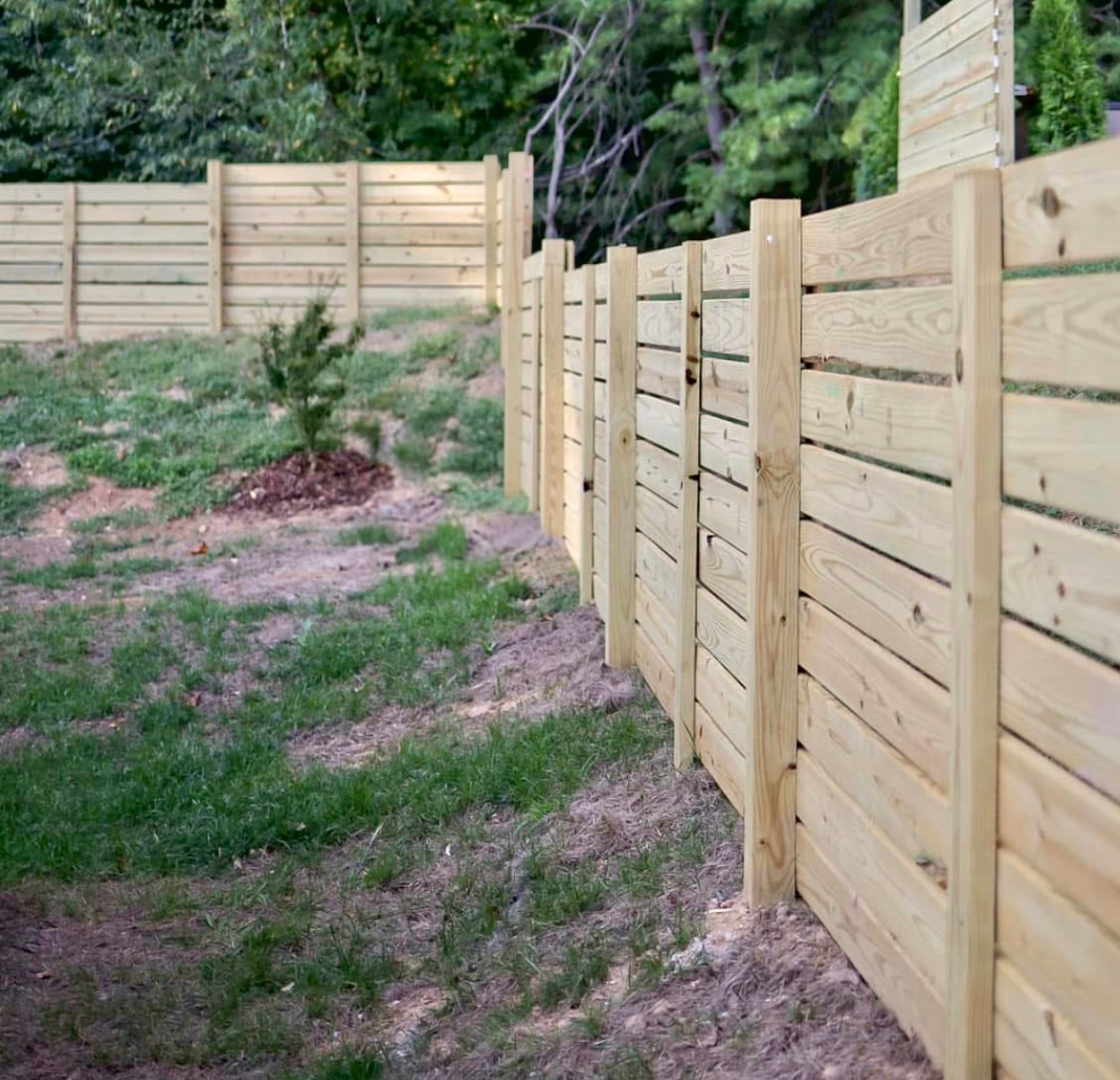 Wooden horizontal slat fence in a grassy yard, partially obscuring a tree line.