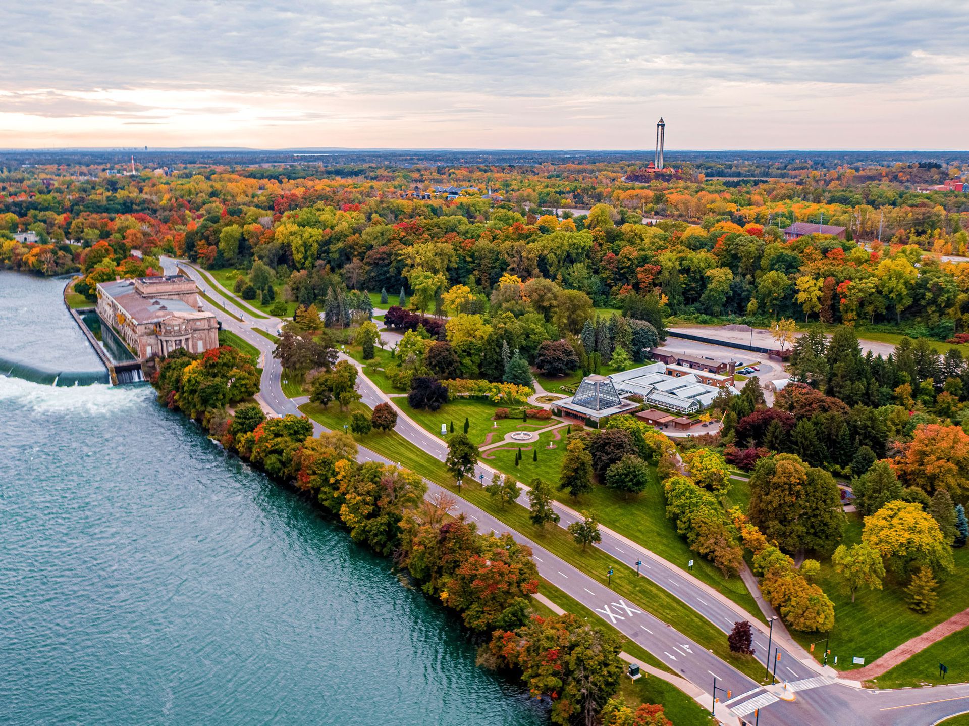 Chippawa