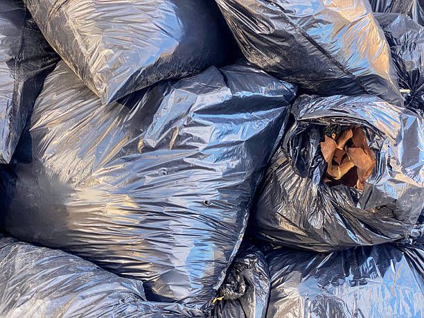 Junk Removal Near Me