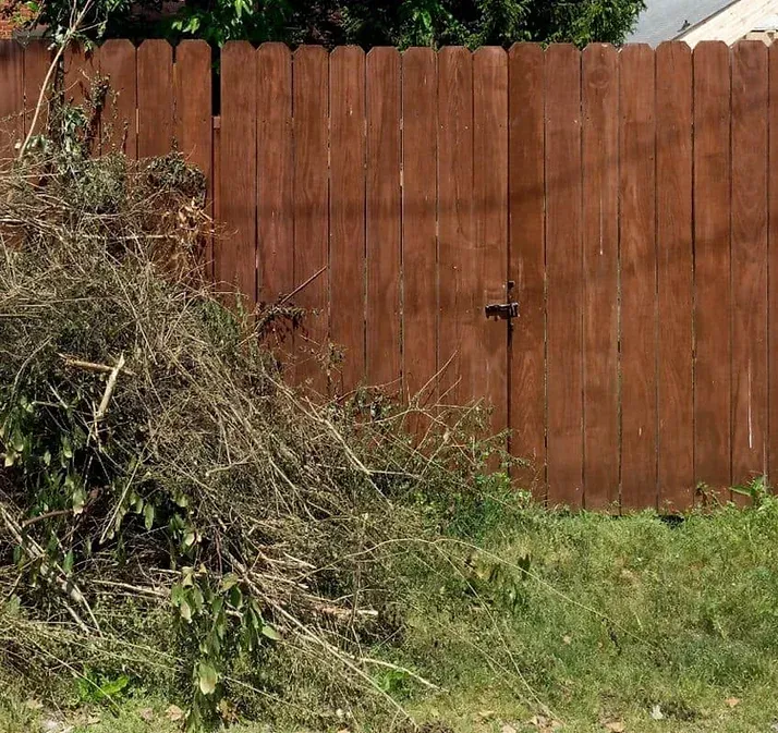 Yard Debris Removal