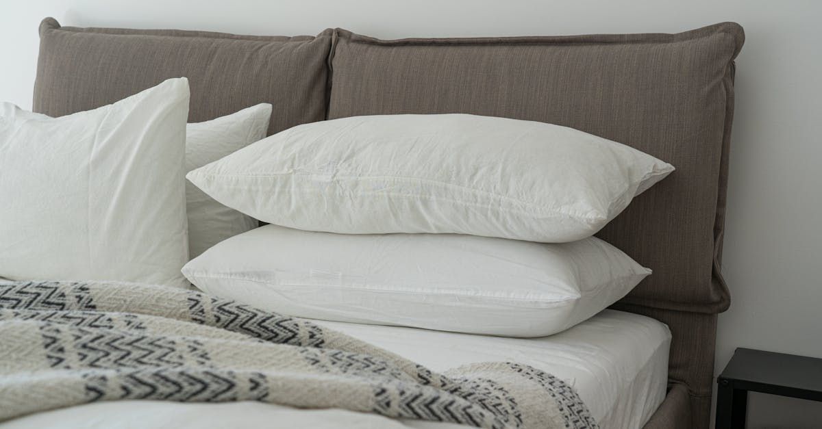 Bed Bug Furniture Removal