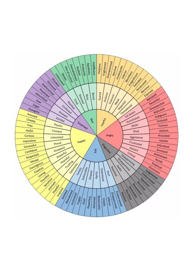 Feelings Wheel