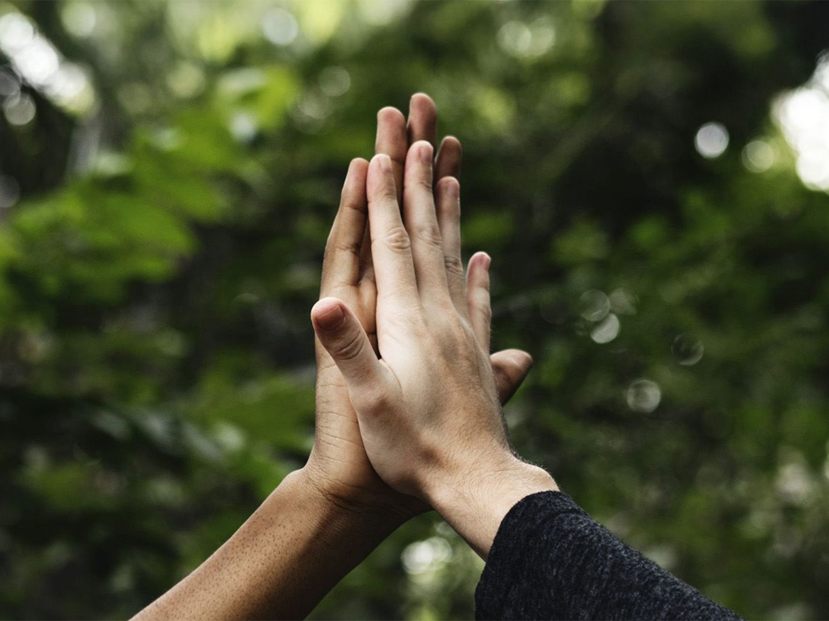 Two hands, one light-skinned, one dark-skinned, giving a high five, with green foliage in background.
