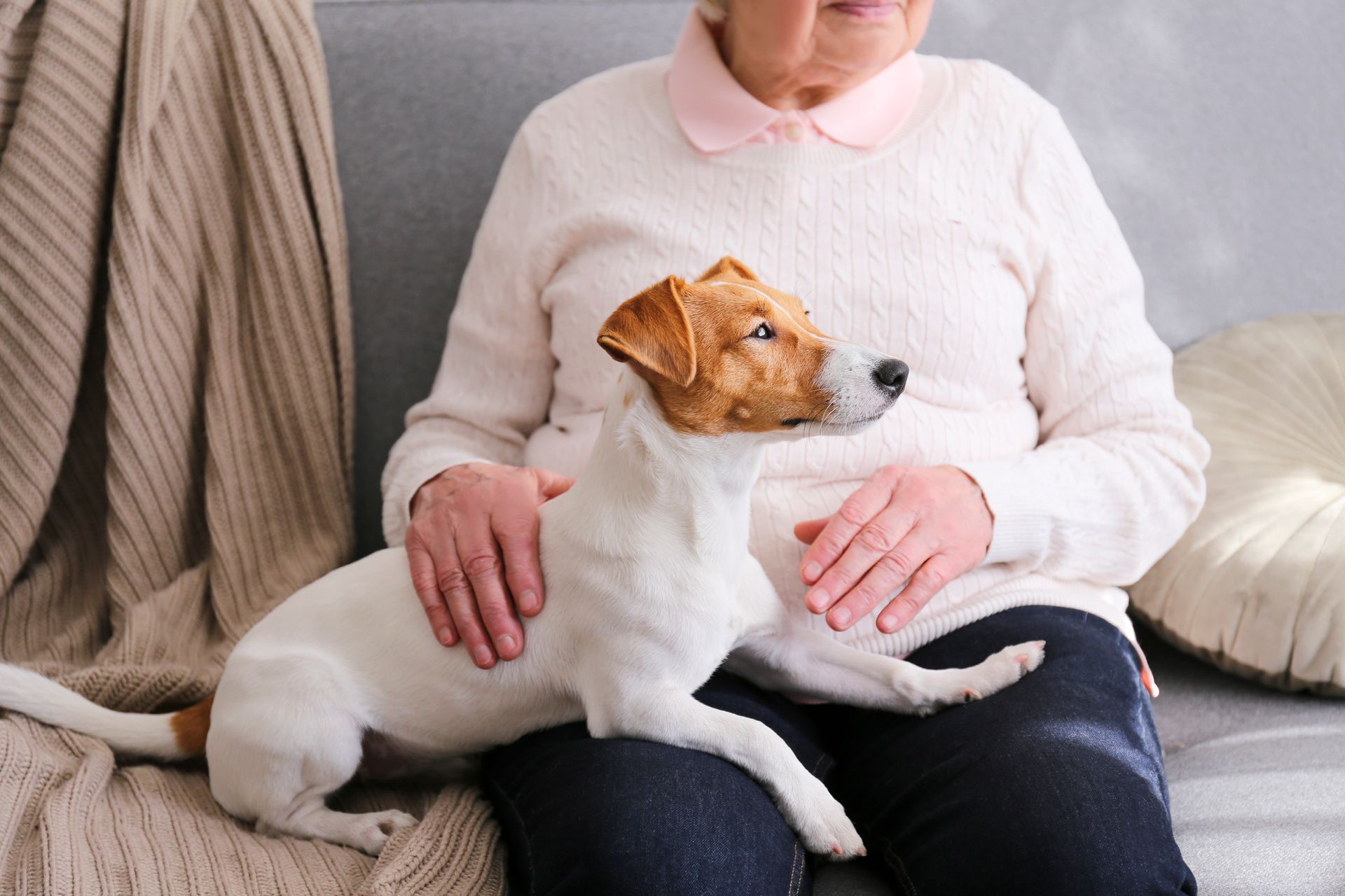 An elderly woman is sitting on a couch with a dog on her lap.