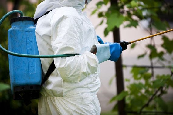 Man in full protective clothing spraying chemicals in the garden/orchard