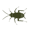 Pest Icon 1