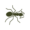 Pest Icon 3