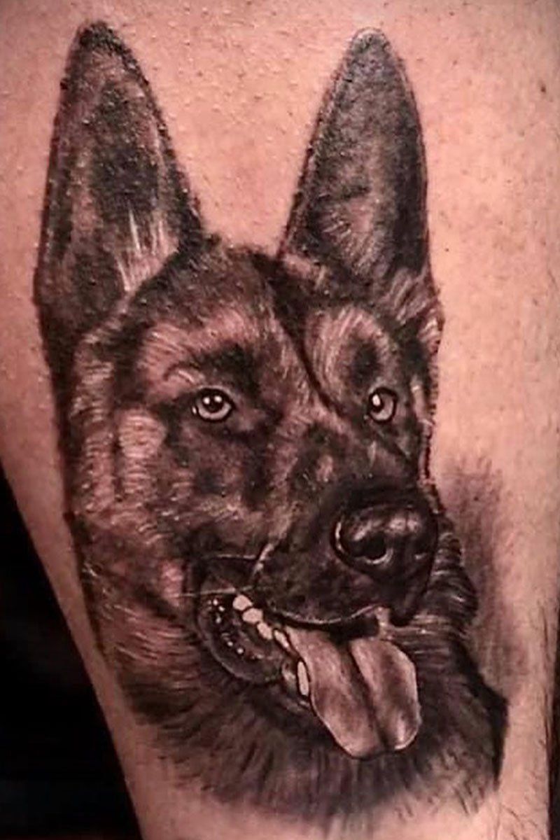 A black and white tattoo of a german shepherd on a man 's leg.