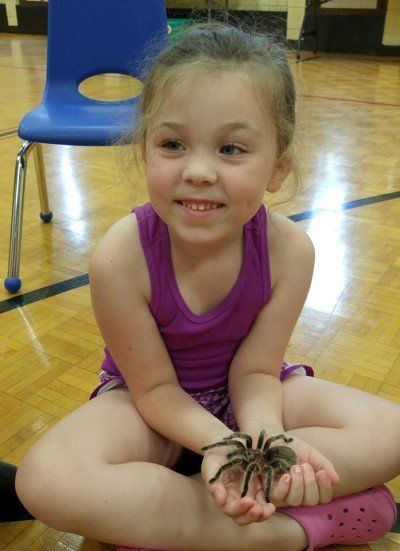 A little girl is sitting on the floor holding a spider in her hands