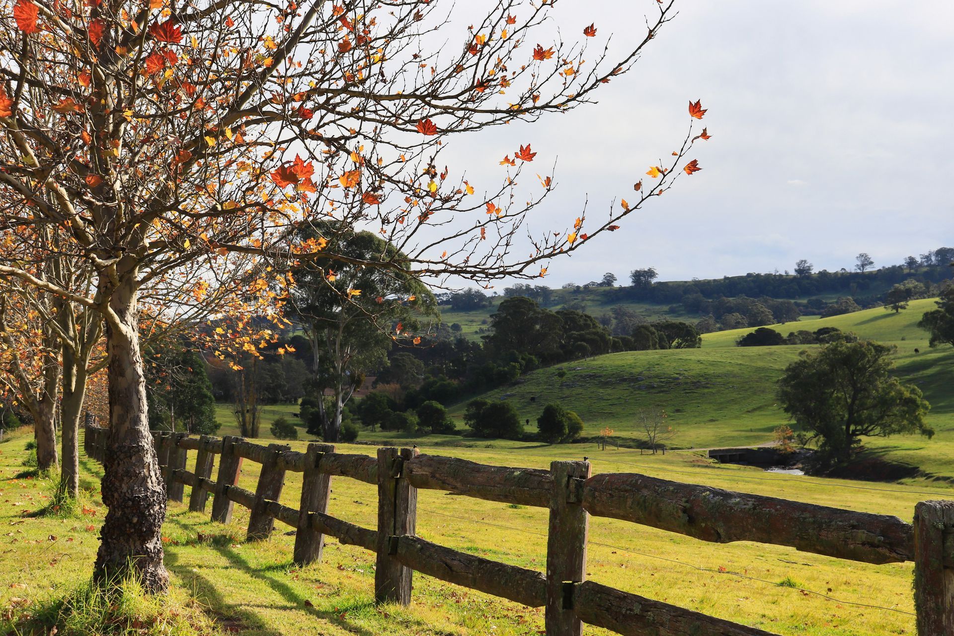 A Wooden Fence Surrounding A Grassy Field With Trees in the Foreground — GMT Builders Pty Ltd in Bundanoon, NSW