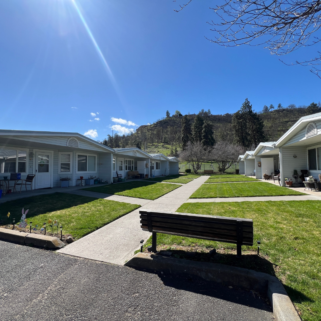 A row of houses with a bench in front of them